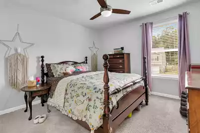 301 Black Birch Drive, Summerville, SC 29486 - Photo 27