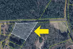 0 Little Elbow Dr, Walterboro, SC 29488 - Photo 1