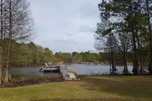 138 Pineridge Rd, Eutawville, SC 29048 - Photo 75