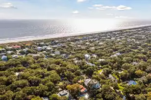 248 Forest Trail, Isle Of Palms, SC 29451 - Photo 3
