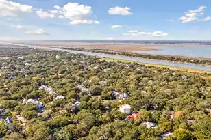 248 Forest Trail, Isle Of Palms, SC 29451 - Photo 57