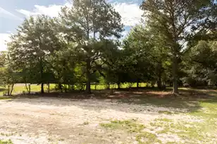 310 Michelle St, Eutawville, SC 29048 - Photo 27