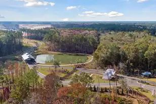 1146 Razor Clam Way, Summerville, SC 29485 - Photo 11