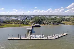 1063 Barfield St, Charleston, SC 29492 - Photo 49
