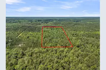 0 Deas Hill Road, McClellanville, SC 29458 - Photo 13