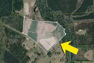 0 A Mt Carmel Rd, Walterboro, SC 29488 - Photo 1