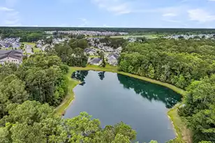 302 Freeland Way, Moncks Corner, SC 29461 - Photo 47