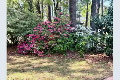 1520 Faith Street, Mount Pleasant, SC 29466 - Photo 55