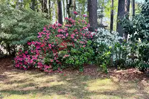 1520 Faith St, Mount Pleasant, SC 29466 - Photo 55