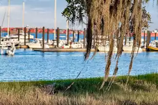 320 Longshore St, Charleston, SC 29492 - Photo 63