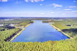 190 Calm Water Way, Summerville, SC 29486 - Photo 61