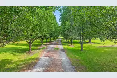 1192 Highway 15 N, Saint George, SC 29477 - Photo 51