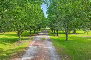 1192 Hwy 15 N, Saint George, SC 29477 - Photo 51