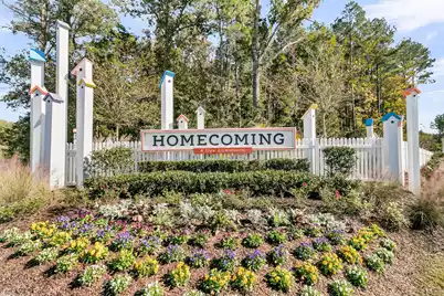 245 Summer Tanager Drive, Summerville, SC 29485 - Photo 61
