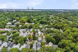 126 Ionsborough St, Mount Pleasant, SC 29464 - Photo 67