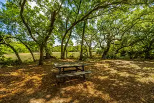 130 River Landing Dr, Charleston, SC 29492 - Photo 45