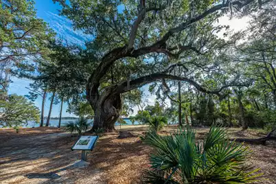 130 River Landing Drive #Unit 3113, Charleston, SC 29492 - Photo 35