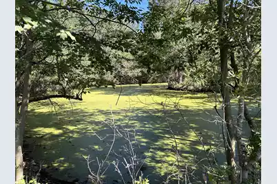 0 Holladay Road, Manning, SC 29102 - Photo 33