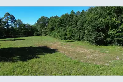 0 Holladay Road, Manning, SC 29102 - Photo 11