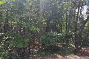 2858 Woodland Park Dr, Mount Pleasant, SC 29466 - Photo 47