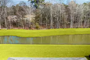 153 Mims Academy Dr, Harleyville, SC 29448 - Photo 23