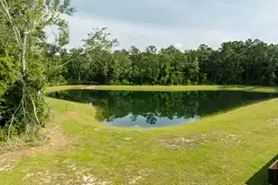 307 Green Fern Dr, Summerville, SC 29483 - Photo 31
