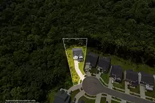 55 Red Blf St, Summerville, SC 29483 - Photo 43