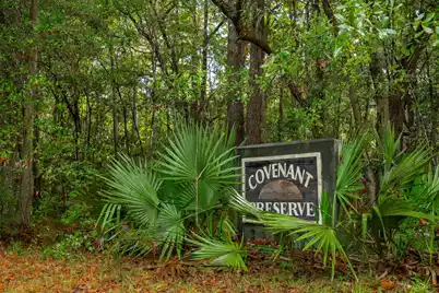 746 Wilson Cemetery Road, Awendaw, SC 29429 - Photo 3
