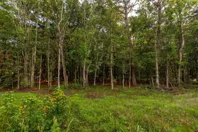 746 Wilson Cemetery Road, Awendaw, SC 29429 - Photo 11
