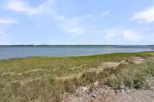 354 Molasses Ln, Mount Pleasant, SC 29464 - Photo 59