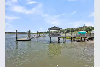 354 Molasses Lane, Mount Pleasant, SC 29464 - Photo 69