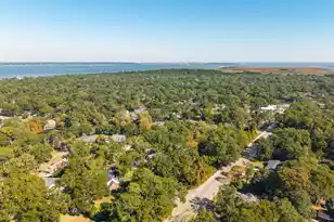 660 Ayers Dr, Charleston, SC 29412 - Photo 67