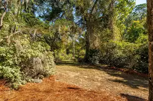 660 Ayers Dr, Charleston, SC 29412 - Photo 63