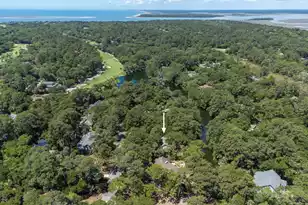 3202 Wood Duck Pl, Seabrook Island, SC 29455 - Photo 47