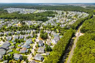 3732 Abercrombie Ct, Mount Pleasant, SC 29466 - Photo 73