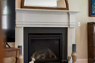 3732 Abercrombie Ct, Mount Pleasant, SC 29466 - Photo 15