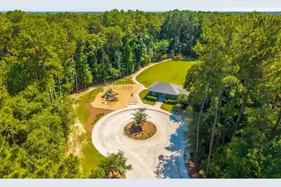 207 Nelliefield Creek Drive, Charleston, SC 29492 - Photo 53