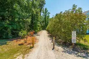 207 Nelliefield Creek Dr, Charleston, SC 29492 - Photo 65