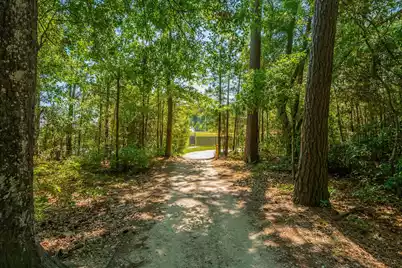 207 Nelliefield Creek Drive, Charleston, SC 29492 - Photo 65