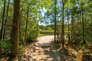 207 Nelliefield Creek Dr, Charleston, SC 29492 - Photo 67
