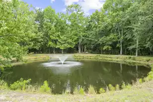 1363 Pinnacle Ln, Charleston, SC 29412 - Photo 29