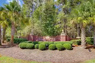 1151 Quick Rabbit Loop, Charleston, SC 29414 - Photo 67
