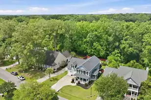 1151 Quick Rabbit Loop, Charleston, SC 29414 - Photo 61