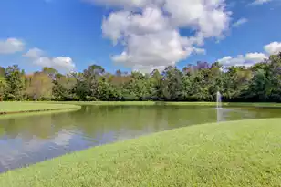 1151 Quick Rabbit Loop, Charleston, SC 29414 - Photo 73