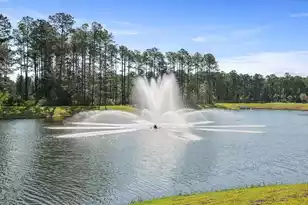 3190 Dalmore Dr, Ravenel, SC 29470 - Photo 11