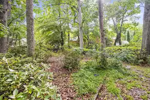 114 Ashley Hill Dr, Goose Creek, SC 29445 - Photo 47