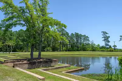 717 Bounty Square Drive, Charleston, SC 29492 - Photo 43