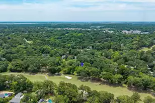 1080 Deleisseline Blvd, Mount Pleasant, SC 29464 - Photo 57