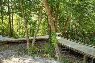 5150 Trump St #105, North Charleston, SC 29420 - Photo 31