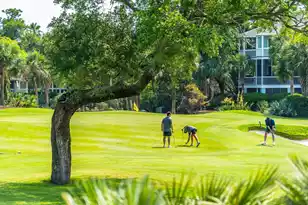 6199 Back Bay Dr, Isle Of Palms, SC 29451 - Photo 5